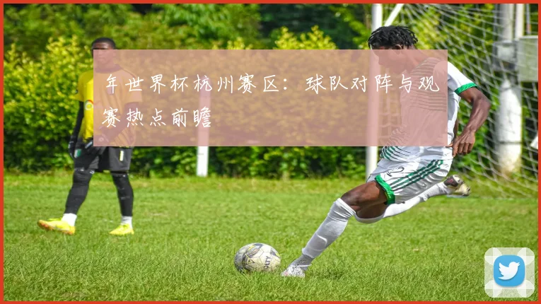年世界杯杭州赛区：球队对阵与观赛热点前瞻