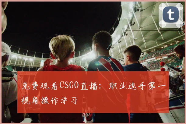 免费观看CSGO直播：职业选手第一视角操作学习